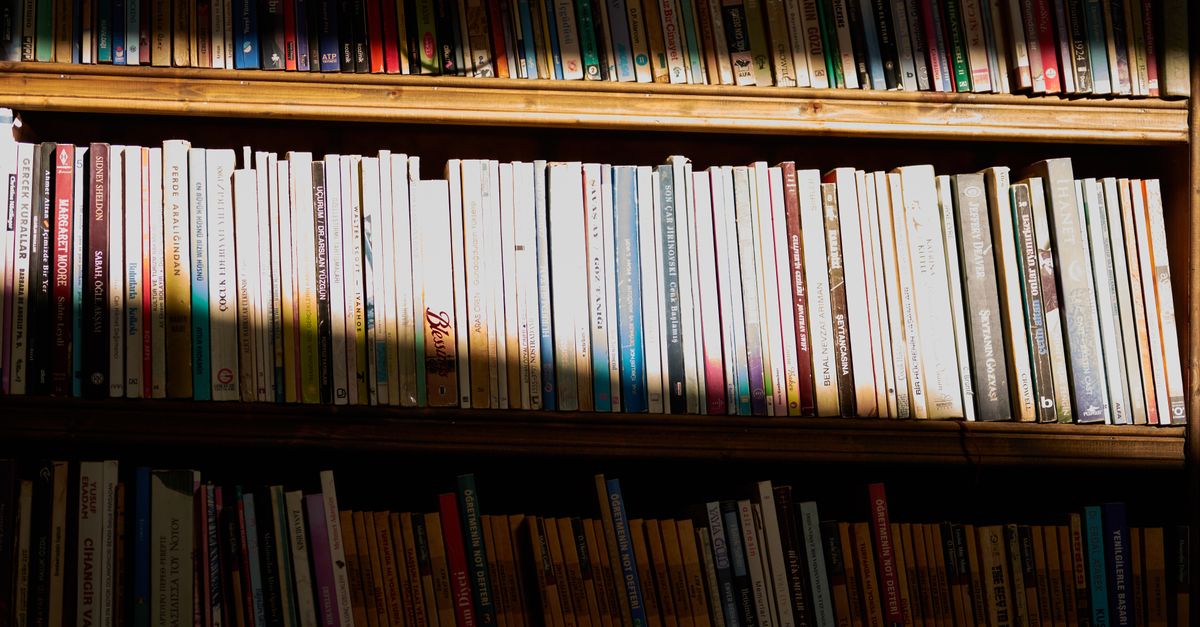 Rows of books on wooden library shelves lit by warm sunlight and long shadows