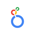 Google Looker Studio logo
